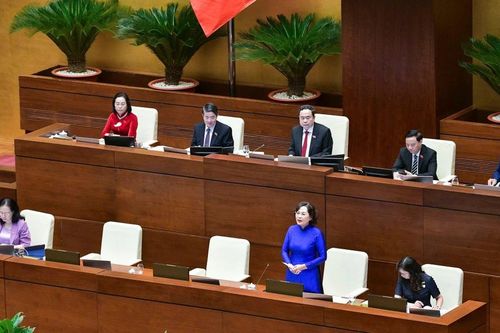 Không còn tài sản bảo đảm, nhưng phương án kinh doanh khả thi, chứng minh được khả năng trả nợ thì vẫn cho vay