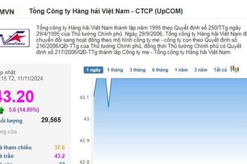'Cú nhấn ga' của cổ phiếu 'ông lớn' ngành hàng hải