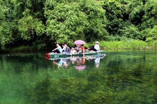 Lối sống xanh - sự cứu rỗi loài người