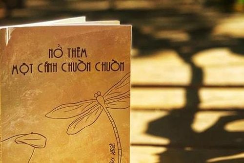 Nỗi buồn kết lại thành thơ