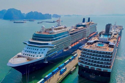 Quảng Ninh: Đón hơn 4.700 khách quốc tế du lịch tàu biển