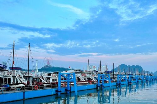 Quảng Ninh: Nâng cao chất lượng đội tàu du lịch hoạt động trên vịnh