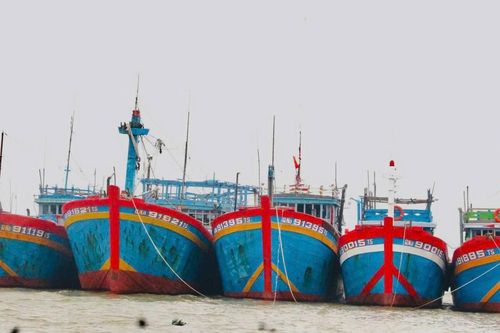 Quảng Nam tập trung gỡ 'thẻ vàng' thủy sản