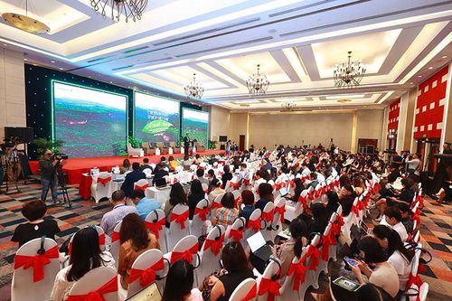 Chuyển đổi kép: chất xúc tác cho phát triển bền vững của kinh tế Việt Nam