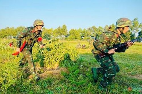 Sư đoàn 5 (Quân khu 7) kiểm tra bắn đạn thật cấp tiểu đội