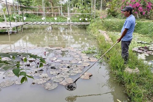 Đầu tư ít, lợi nhuận cao từ 'đặc sản' dân dã