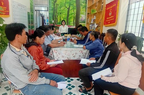 Giải ngân 500 triệu đồng giúp nông dân trồng hoa cúc chậu