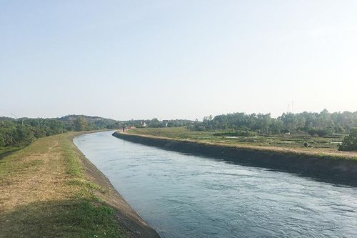 Quảng Ninh bàn giải pháp hỗ trợ phát triển thủy lợi và tưới tiết kiệm nước