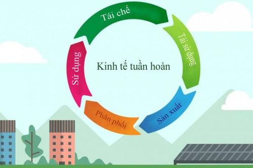 Kinh tế tuần hoàn tại Việt Nam có thêm sự hỗ trợ mới