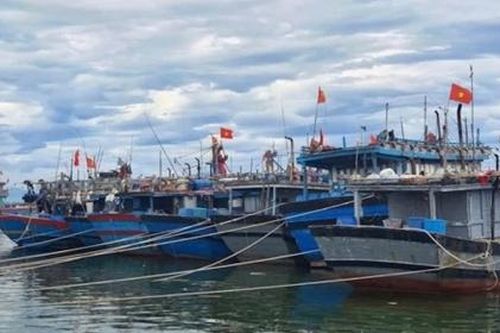Ứng phó với bão số 8: Các địa phương quản lý chặt chẽ tàu thuyền ra khơi