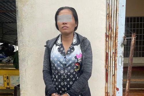 Lừa xuất khẩu lao động, chiếm đoạt tiền của hàng chục người