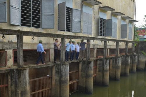 Phó Chủ tịch UBND tỉnh Nguyễn Văn Đệ kiểm tra công trình giao thông thủy lợi