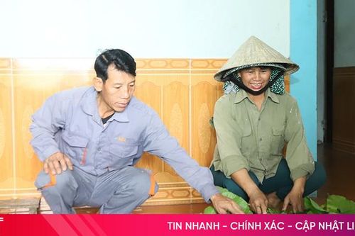 Trồng dâu nuôi tằm cho lợi nhuận cao ở Đức Thọ
