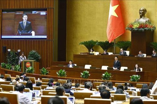 Xử lý cơ bản tình trạng một thuê bao sở hữu nhiều SIM