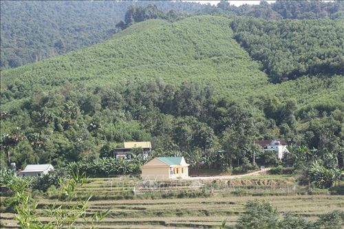 Giao đất lâm nghiệp ở Nghệ An: 'Chìa khóa' đã có, nhưng chưa 'trao tay'