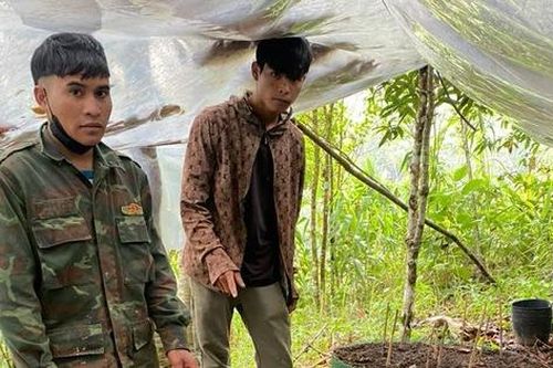 Kon Tum: Lắp 2 trạm phát sóng giúp đồng bào Xơ Đăng lắp camera bảo vệ vườn sâm Ngọc Linh