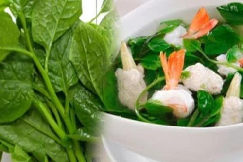 Loại rau được mệnh danh là 'vua rau', bán đầy chợ với giá rẻ như cho lại không phun thuốc, ngừa được ung thư, nhớ mua ngay!