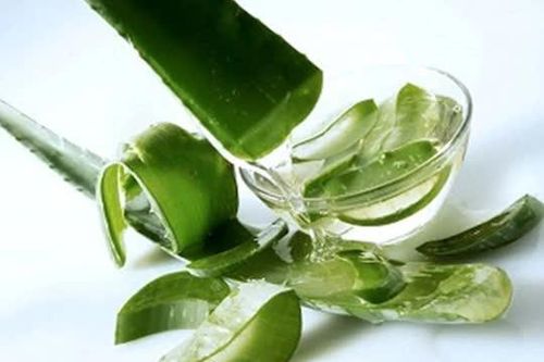 Những cách chữa bệnh đau dạ dày tại nhà hiệu quả