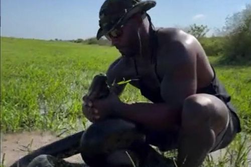 CLIP: Người đàn ông dùng tay không bắt trăn anaconda và cái kết gây 'sốc'