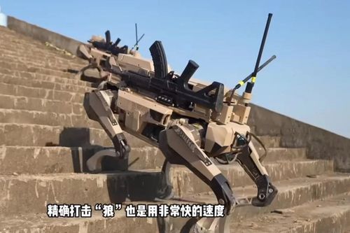 Robot 'Sói đàn' - Lực lượng chiến đấu mới được Trung Quốc trình làng