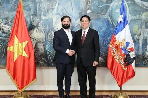 Tuyên bố chung Cộng hòa Chile và Cộng hòa xã hội chủ nghĩa Việt Nam