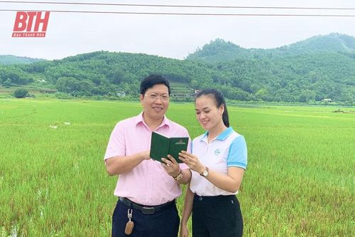 Thêm nguồn lực đầu tư xây dựng các công trình nước sạch và vệ sinh đạt chuẩn