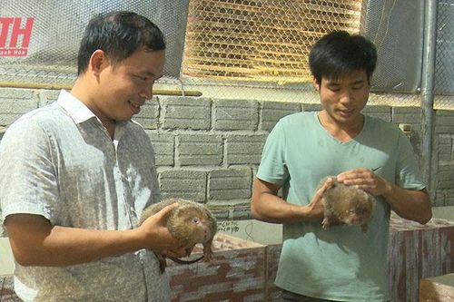 Phát triển các mô hình sản xuất nông nghiệp ở Lang Chánh