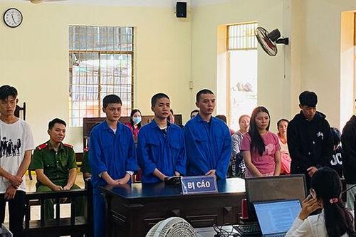 Trả giá đắt vì thích gây sự