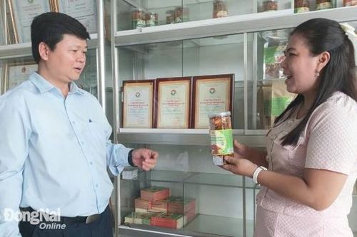 Khắp nơi trong tỉnh sáng 12-11-2024
