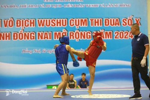Gần 200 vận động viên tham dự giải Giải vô địch Wushu cụm thi đua số X tỉnh Đồng Nai mở rộng năm 2024