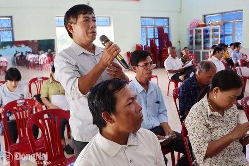 Khắp nơi trong tỉnh chiều 12-11-2024