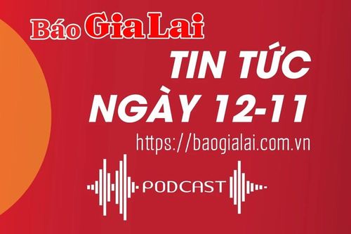 Tin tức sáng 12-11: Chư Pưh xử lý nghiêm cơ sở chăn nuôi gây ô nhiễm môi trường