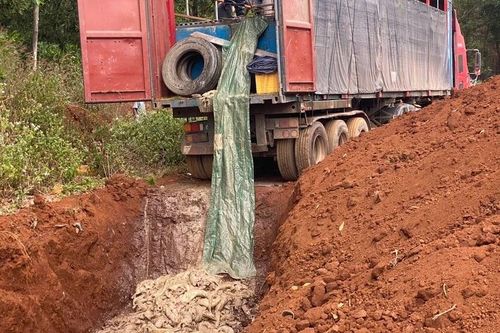 Gia Lai: Tạm giam 4 đối tượng trong vụ vận chuyển trái phép 5,5 tấn cá tầm qua biên giới