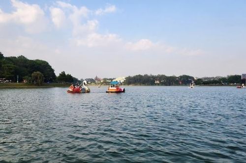 Đà Lạt: Tạm dừng dịch vụ đạp vịt trên hồ Xuân Hương