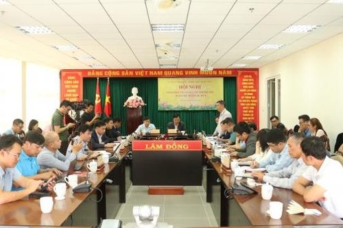 Hội nghị Giao ban báo chí tháng 11/2024