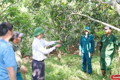 Chiềng Hặc nỗ lực giảm nghèo cho nhân dân