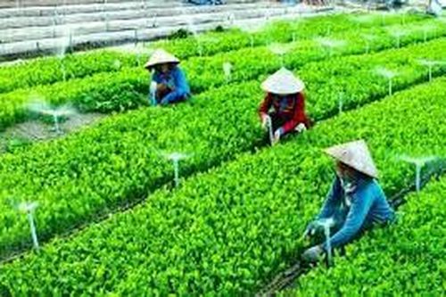 Chính sách hỗ trợ thông tin cho hợp tác xã
