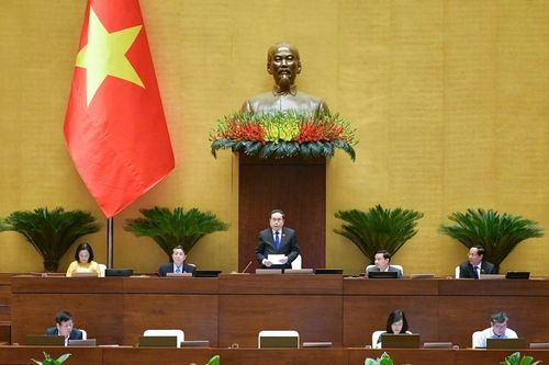 Xử lý nghiêm vi phạm trong kinh doanh thực phẩm chức năng, phòng chống tác hại của thuốc lá, chất kích thích