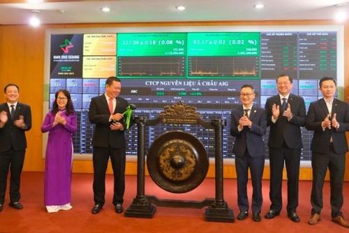Hơn 170 triệu cổ phiếu AIG chính thức lên sàn UPCoM từ ngày 11/11