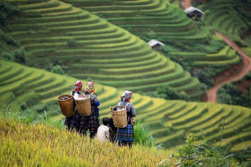 Sớm nâng cao chất lượng nhân lực ngành du lịch
