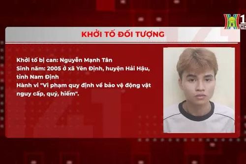 Khởi tố đối tượng buôn bán rái cá
