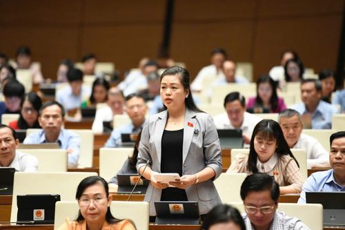 Đoàn đại biểu Quốc hội tỉnh chất vấn giải pháp hoàn thành nhiệm vụ phát triển, nâng cao chất lượng hạ tầng viễn thông