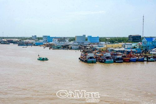 Hướng tới kinh tế biển hiện đại, bền vững