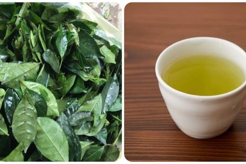 Mỗi ngày uống chừng này tách chè xanh có thể ngăn ngừa đột quỵ