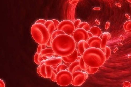 Trẻ nào dễ có nguy cơ bị thiếu máu, thiếu sắt?