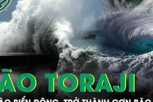 Bão Toraji giật cấp 12 đi vào Biển Đông, trở thành cơn bão số 8