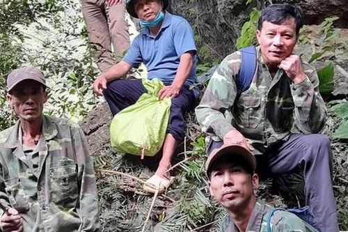 Những người tự nguyện bám rừng bảo vệ loài linh trưởng quý hiếm nằm trong Sách đỏ