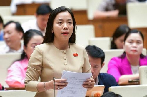 Năm 2030 sẽ có 15 tuyến cáp quang biển, dung lượng tăng 10 lần
