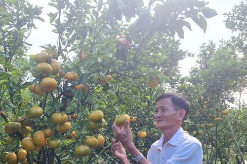Tìm cách cung ứng nông sản an toàn