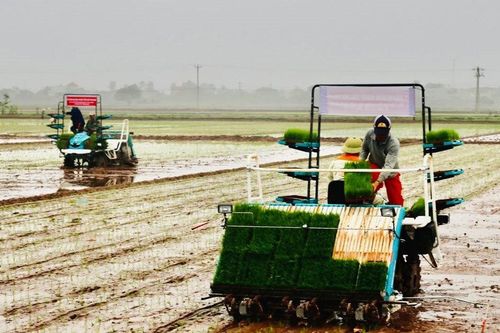 Lợi ích kép từ Quỹ Khuyến nông Hà Nội
